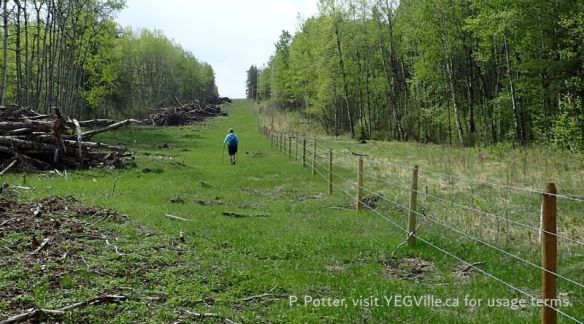 A hiker walking South along the West boundary of site, note the extensive land clearing, Bridge Lake NA (PNT), 2026-05-26, P. Potter.