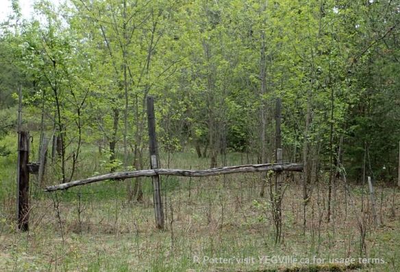 A curious enclosure on the West side, barb wire went up twice the normal height and there was a gate in the SE corner, Bridge Lake NA (PNT), 2026-05-26, P. Potter.