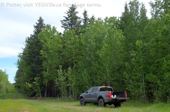 Looking North along the West boundary, Armstrong Lake PNT – North Parcel, 2026-06-09, P. Potter.